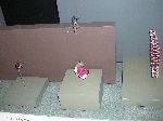 068_2009-0119-1152-37.jpg